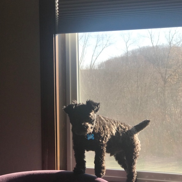 Meet your Posher, Laura - Picture 3 of 3